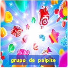 grupo de palpite de futebol telegram